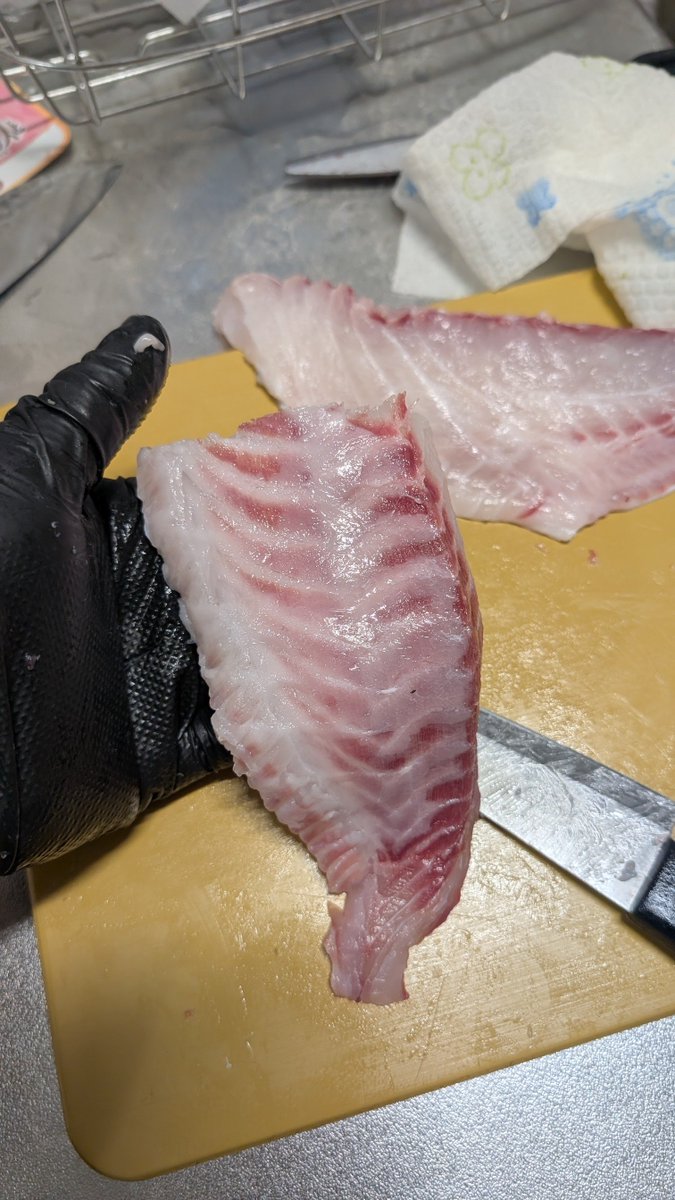 moina_mgmg's tweet photo. 夏の超高級魚
脂がえげつなかった https://t.co/irIC7dY3TP
