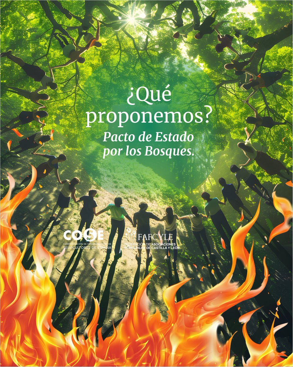fafcyle's tweet photo. Proponemos
👉Gestión forestal como actividad de interés general.
👉Fiscalidad adaptada.
👉Pago por servicios ecosistémicos.
👉Menos burocracia.
👉Más biomasa y gestión conjunta.
👉Planificación frente a grandes incendios

Pacto de Estado por los Bosques
🔗 https://t.co/NvyqEfEL2G https://t.co/ydQF2KgNKw