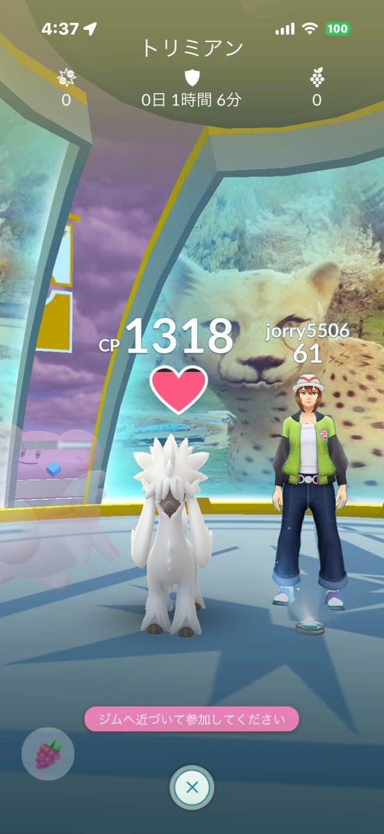 Pokego2468's tweet photo. jorry5506

営業時間外の動物園内へのジム置きと絶対に不可能な速度でのジム置き

#ポケモンGO  #位置偽装
#チート #pokemongo #Niantic 
#locationcamouflage #Cheater https://t.co/ewOmqJXOQv