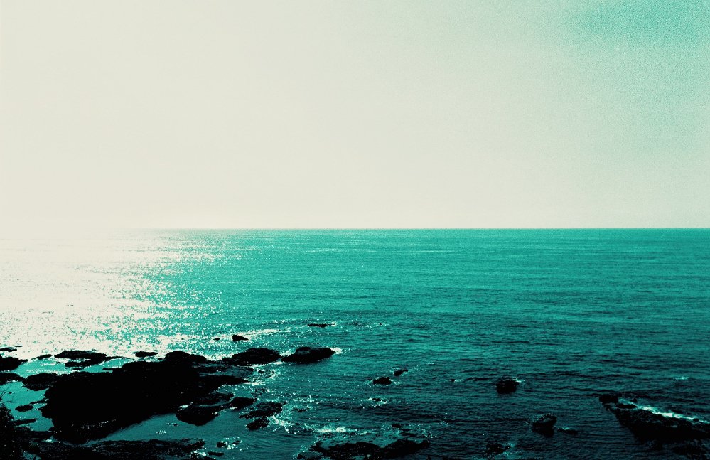 filmvoice1's tweet photo. a gift of midsummer ๅฑฑ้ฐBlue๐
#fiim https://t.co/cSRheIrBO9