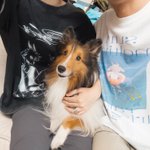 Photo by SIGNEDOG (@Signedoge)