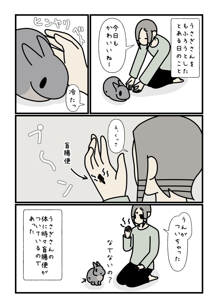 yurio_pommy's tweet photo. ひんやりすると思ったら盲腸●がくっついたお話です☺️

「で、なでなでは？🐰」

#もしもうさぎと一緒なら https://t.co/k7sDKJTQcp