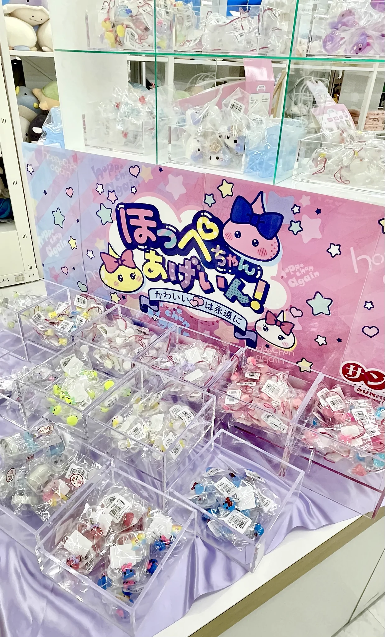 コーチャンフォー北見店 on X: 