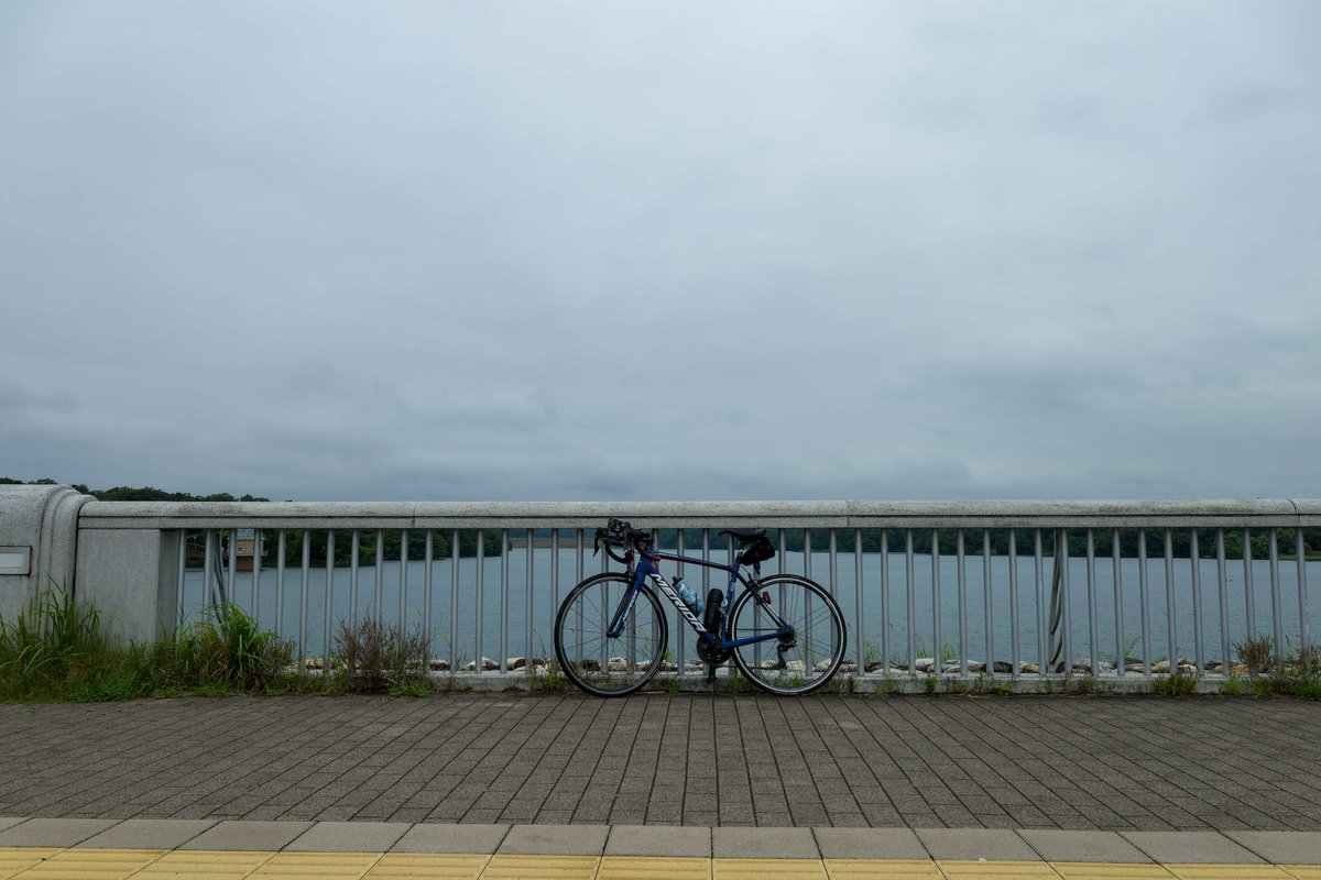 PieTako's tweet photo. 多摩湖定点観測。曇り空、気温は低め、湿度が高くて蒸し暑い。これだったら晴れてて暑い方が良いな、と感じてしまう。人は少ない。 https://t.co/nyi4oLIGmt