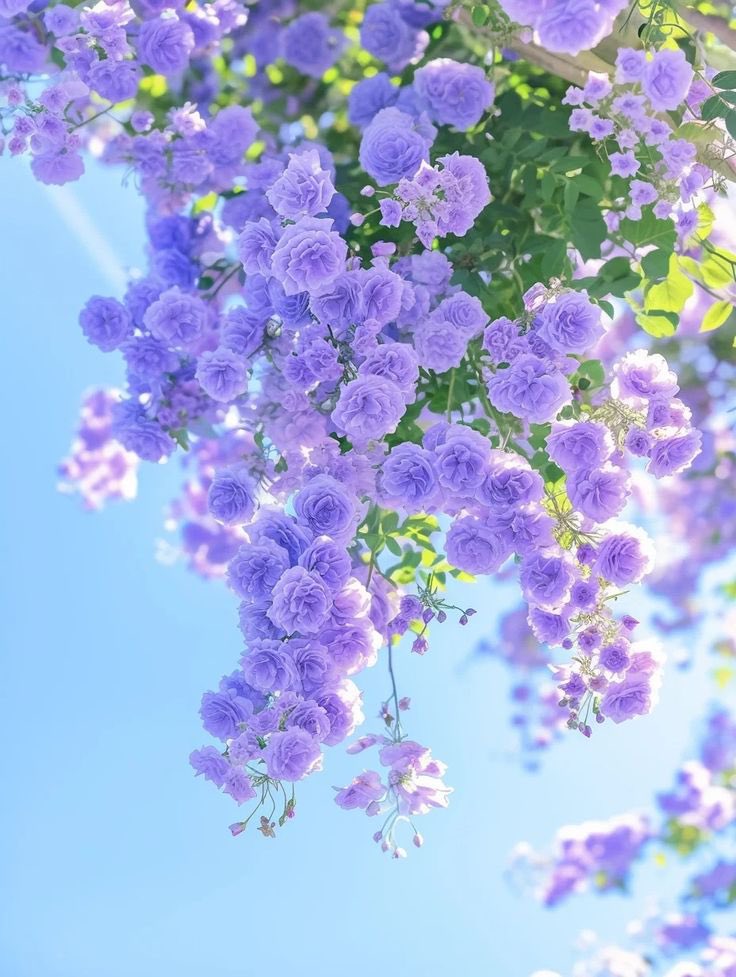 Solithra's tweet photo. https://t.co/NU1PPyG8u4