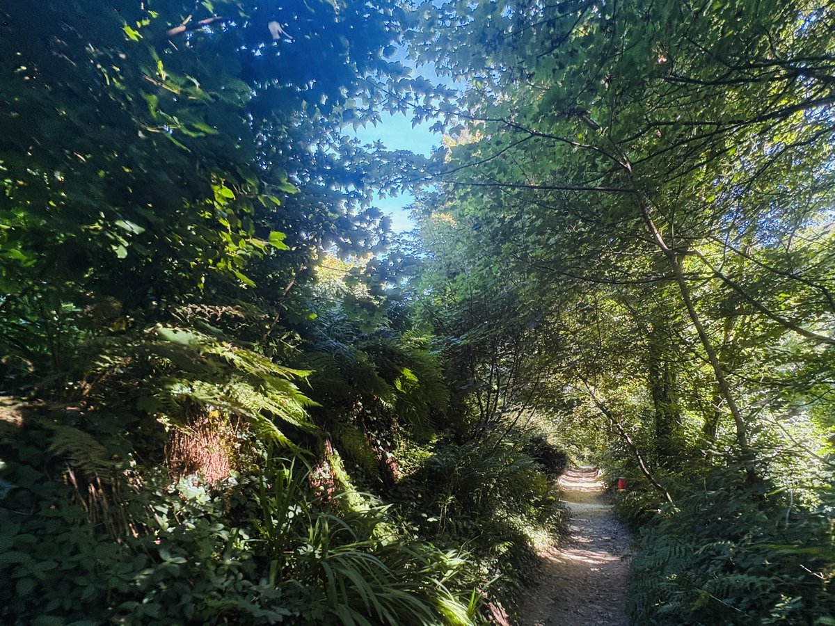 tessofthevale's tweet photo. Saints, shrines and sacred waters of St Nectan’s Glen.

See St Nectan's Glen Walk for more…

Part of the free Outside Dorset Series.

#cornwall #magic #stnectansglen https://t.co/3CGd3yzLtO