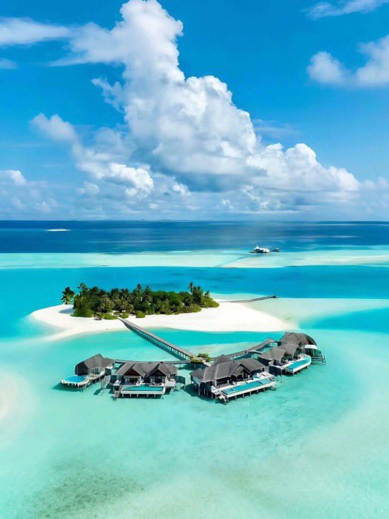 _Naturaee's tweet photo. Maldives summer https://t.co/c3NBlLDsYE