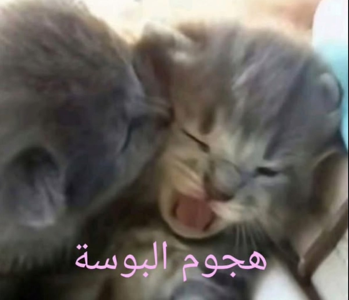 miinmi7's tweet photo. أنا عند امي بأكثر وقت هي مو مروقه فيه 
(حصل الان) https://t.co/VqSomob7cU