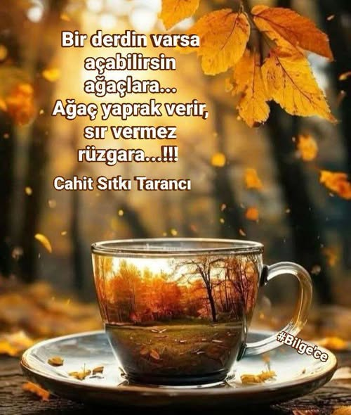 TOPRAK_2_'s tweet photo. #YANGIN...!!!
Geçen yıl çıkan orman yangınlarında yazmıştım, anlaşılan her yaz, her yangında paylaşacağım üzülerek😔
~~~~~~
Yaz geldi, havalar ısındı, #piknik yapma, gezme, #rant peşinde koşma #mevsimi açıldı...
Günlerdir güzel ülkem cayır cayır #yanıyor yine... Yangını yakından yaşayan biri olarak çok #üzülüyorum çok...
İlk görüşte #vurulduğum Manavgat'a taşındıktan birbuçuk ay sonra tanıştım orman yangınıyla... Herkese "yemyeşil ormanın içinde, #cennetten bir köşe" demiştim büyük bir mutlulukla...
Günlerce o cennet köşede #duman solduk, evin içine doluşan #külleri, #tüyleri temizledik, durup dinlenmeden... İlk zamanlar "acaba bunlar #neyin külleri" diyordum... Sonra yangında yiten canları görünce neyin külleri olduğunu düşünmeye bile #korktum...
O yangında 30'dan fazla mahalle ve köy yandı... Pazartesi günleri büyük bir keyifle gittiğim, çevre köylülerin sabah #erken saatlerde veya bir gün önce aksamdan toplayıp getirdikleri taze #sebze ve meyve, süt, yoğurt, yumurta aldığımız Pazar haftalarca #yoktu maalesef... Çünkü artık çoğunun köyü, bağı, bahçesi, hayvanları #yok olup gitmişti...
Kimbilir kaç gece #genzimizi yakan #dumanla uyandık, gündüz gökyüzünde #güneşi #göremedik...
Ve nihayet yangın söndüğünde o yemyeşil ağaçların yerini siyah #siluetler almıştı...
İki yıl boyunca denizden yanmış odun #parçaları ve daha nicesi çıktı...
Orman yangını deyip geçmemek lazım, bir sürü insanın hayatı #değişiyor, bir sürü can #yok olup gidiyor, izleri #yıllarca kalıyor...!
Her yıl, her yaz, aynı şeyleri tekrar tekrar yaşıyor olmamız ne kadar da #acı verici... Birazıcık ders alıp güzel ülkemin kıymetini bilsek artık diyorum...!!!
#Bilge'ce ✍️
Yolu iyilikten, güzellikten, Sevgiden geçen herkese selam selam olsun 🌹🙋♀️🩵
#Bilge_ce