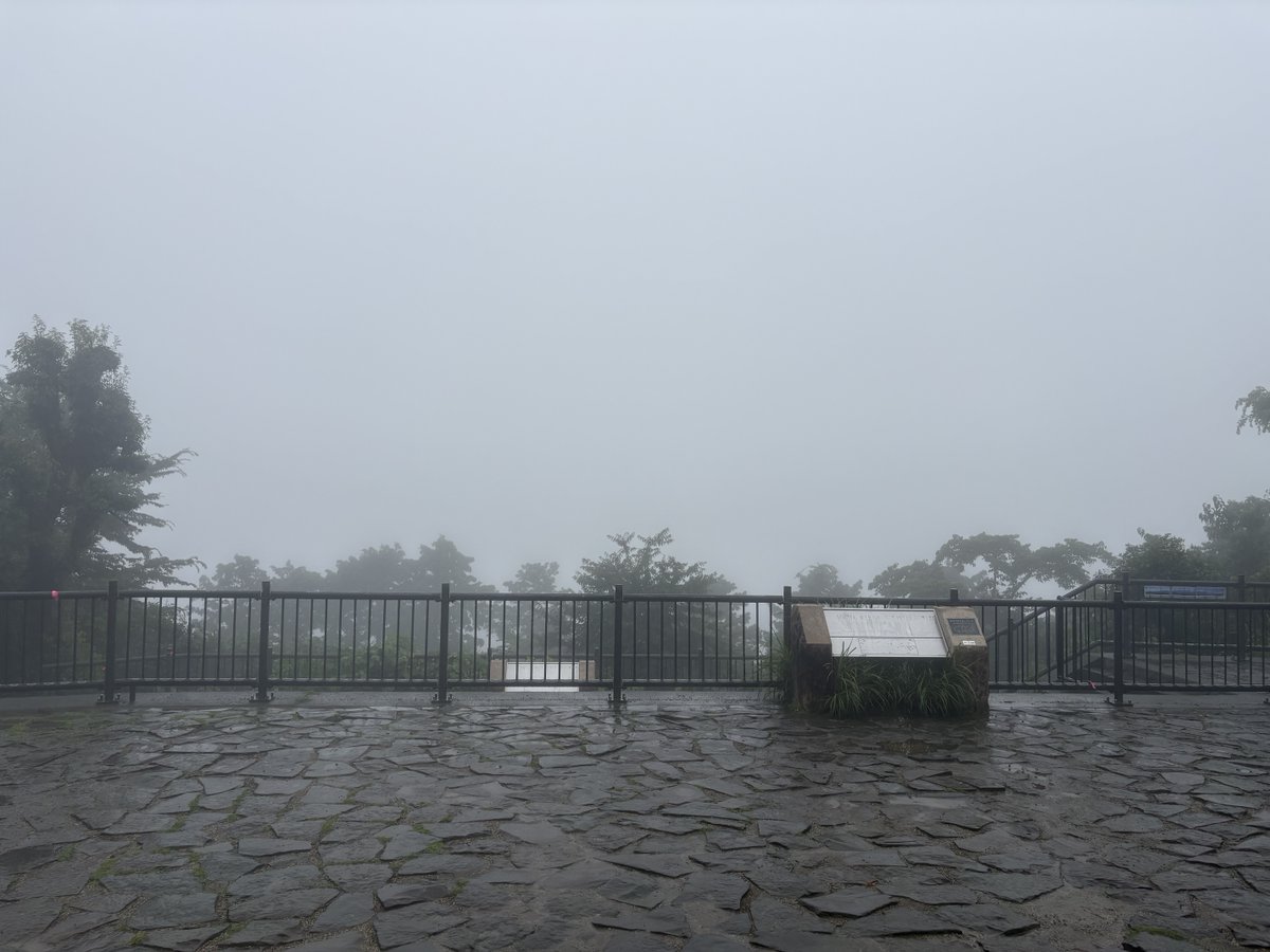 nuovo2003's tweet photo. 今日の高尾山、曇り予報だったけど、ずっと小雨が降っていました。涼しくて気持ち良かったです。 https://t.co/A9UIPG6Fyg