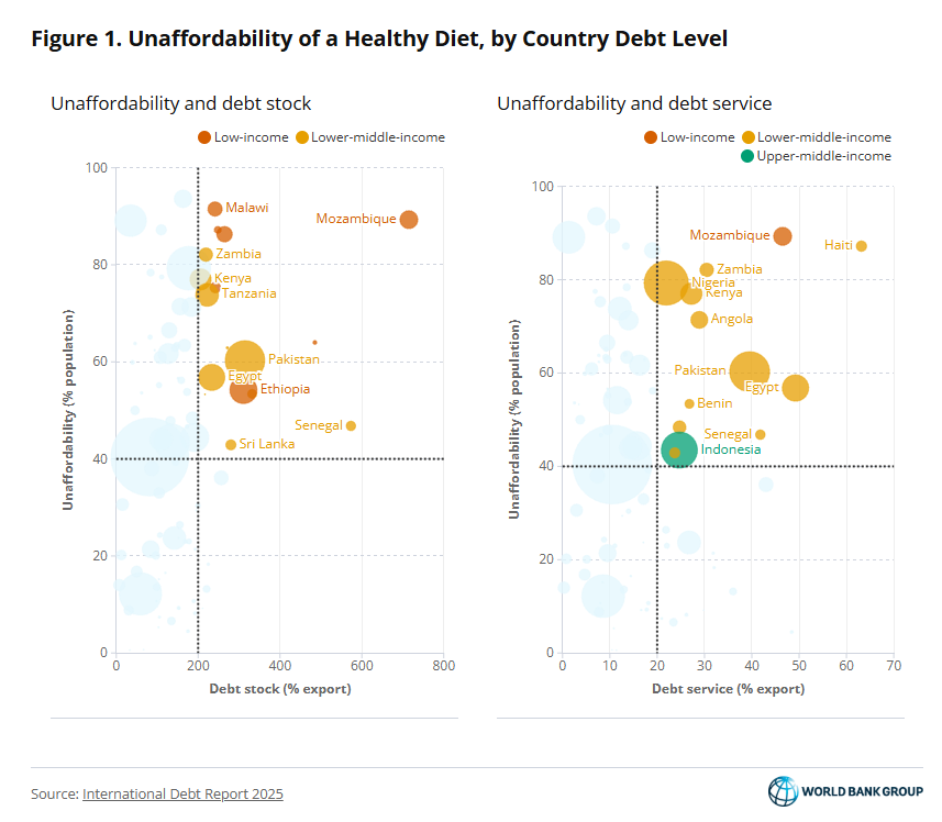 WorldBankKenya's tweet photo. When debt rises, healthy diets become harder to afford. In countries with high debt burdens, millions struggle to access nutritious food putting health, productivity, and development at risk. https://t.co/djblkjniDi https://t.co/3fIi4zbc9v