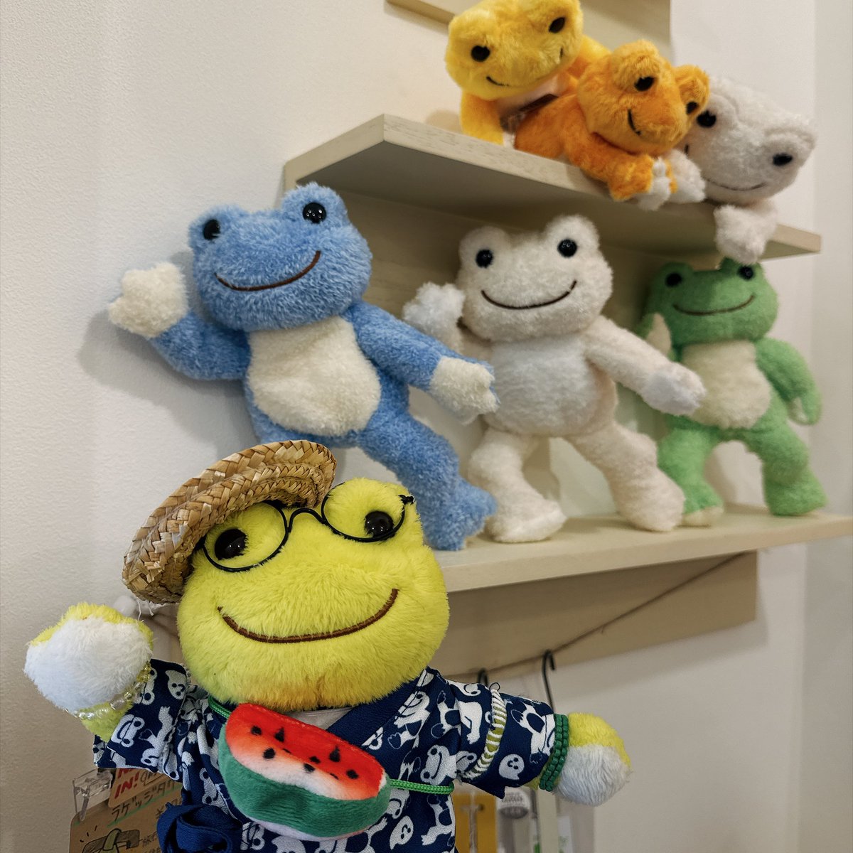 guripearl's tweet photo. 🐸お久しぶりのクァメイドゥけろよ🐢たのしいケロロ💕byケロ太
#かえるのピクルス #picklesthefrog #ぬい撮り https://t.co/r5TeVpCZAe