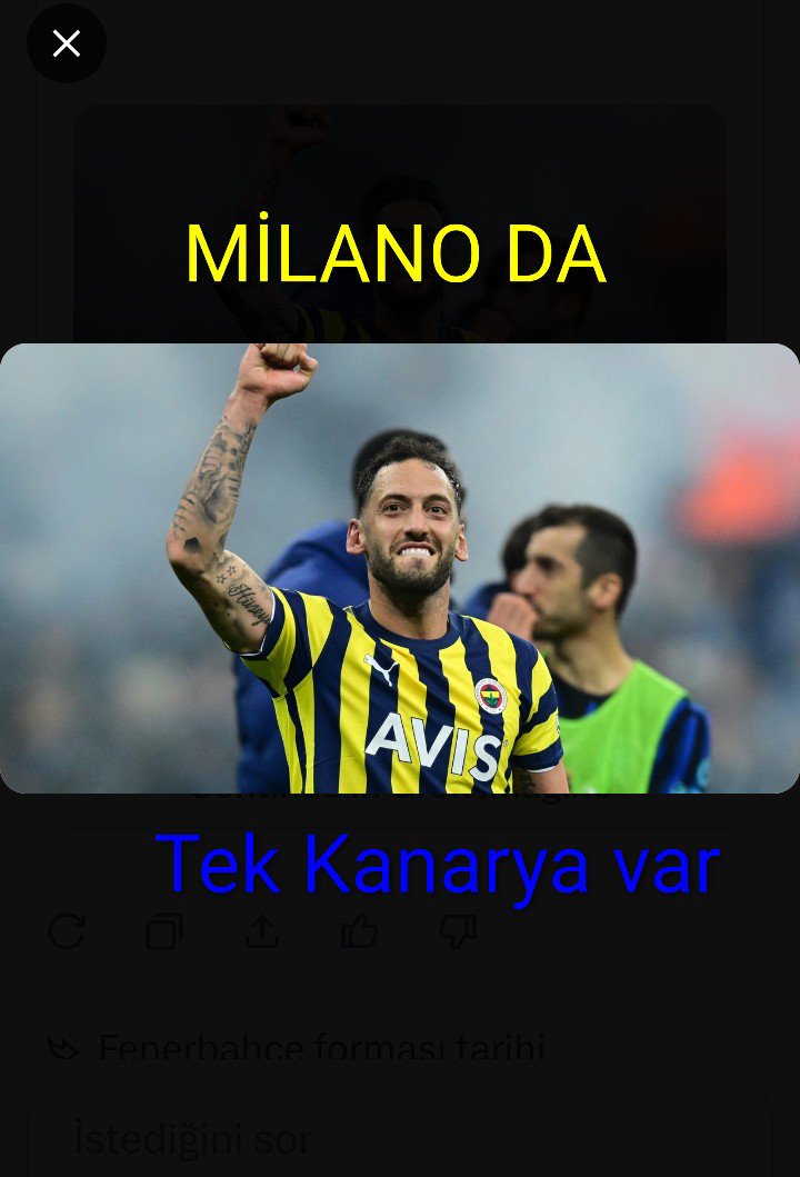 Mustafa Tut tweet media