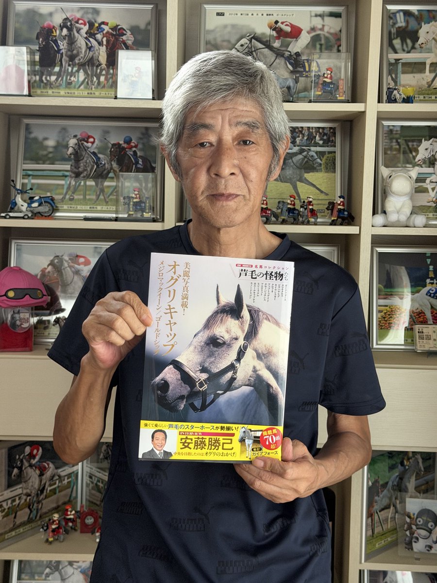 TAKATOSHI_Gship's tweet photo. 名馬コレクション
芦毛の怪物たち https://t.co/w9oREIH1CB