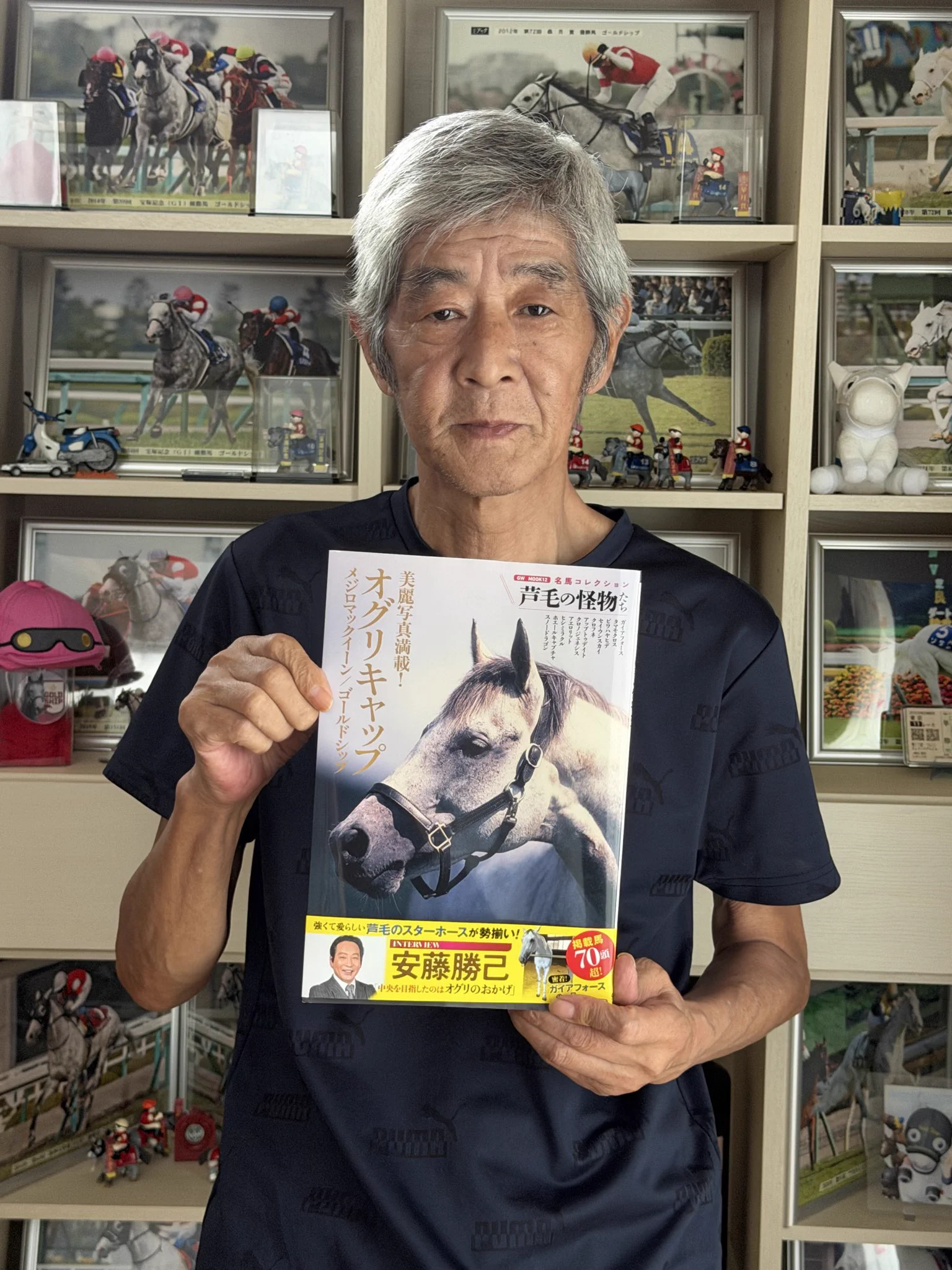 Graham Pavey в X: „RT @TAKATOSHI_Gship: 名馬コレクション 芦毛の