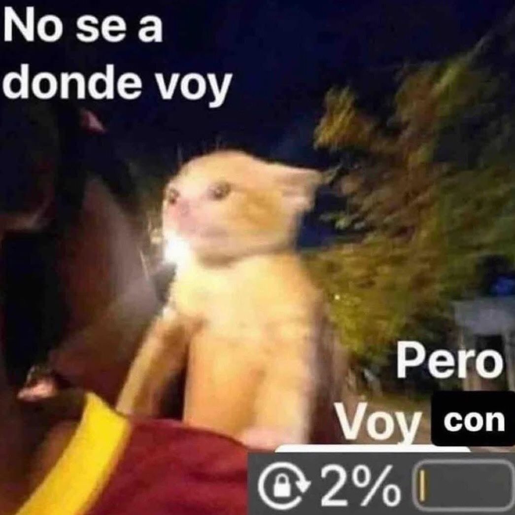 Mundo de Bigotes tweet media