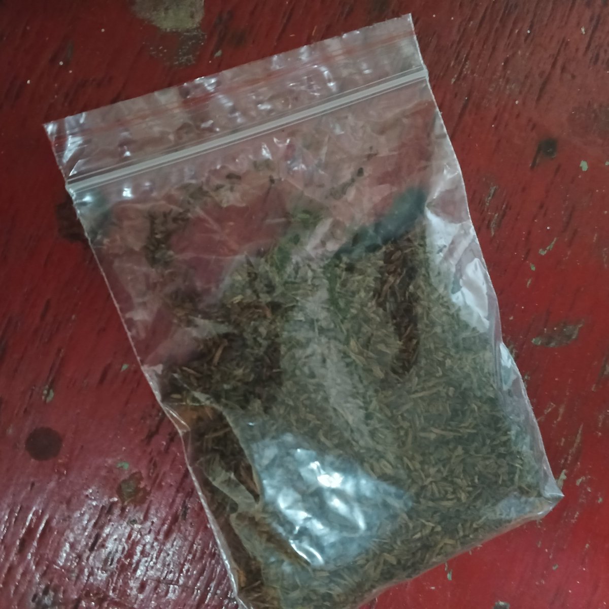 valezqeuz's tweet photo. Cengkeh Manjengan
Sensasi cuma manis di mulut aja dari awal puff sampai akhir. Kurang gurih euyy, kyknya ngaruh sama ukuran cacahnya yang lebih kecil. Suara pleteknya kurang berisik. Keunggulannya sih wangi, kata org sebelah urg wangi parfum walaupun urg gak bisa nyium. https://t.co/YY9NEiE7ya