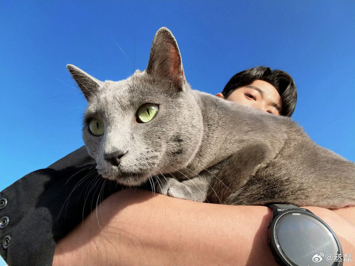 jomong1218's tweet photo. 🦊260803 승뢰 웨이보

#승뢰 #丞磊 #ChengLei #เฉิงเหล่ย https://t.co/TSQ4ZPAuSP