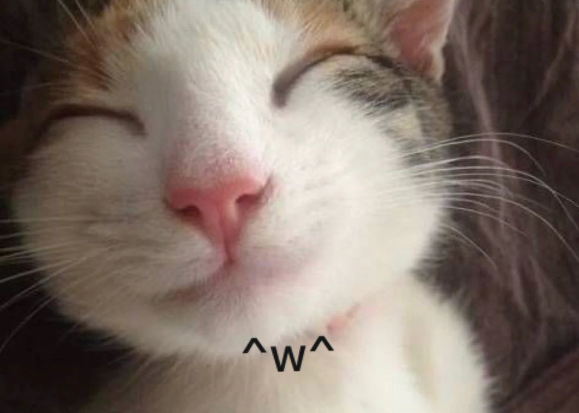 dearestkjs's tweet photo. ^w^ https://t.co/mUN0TV6FmS