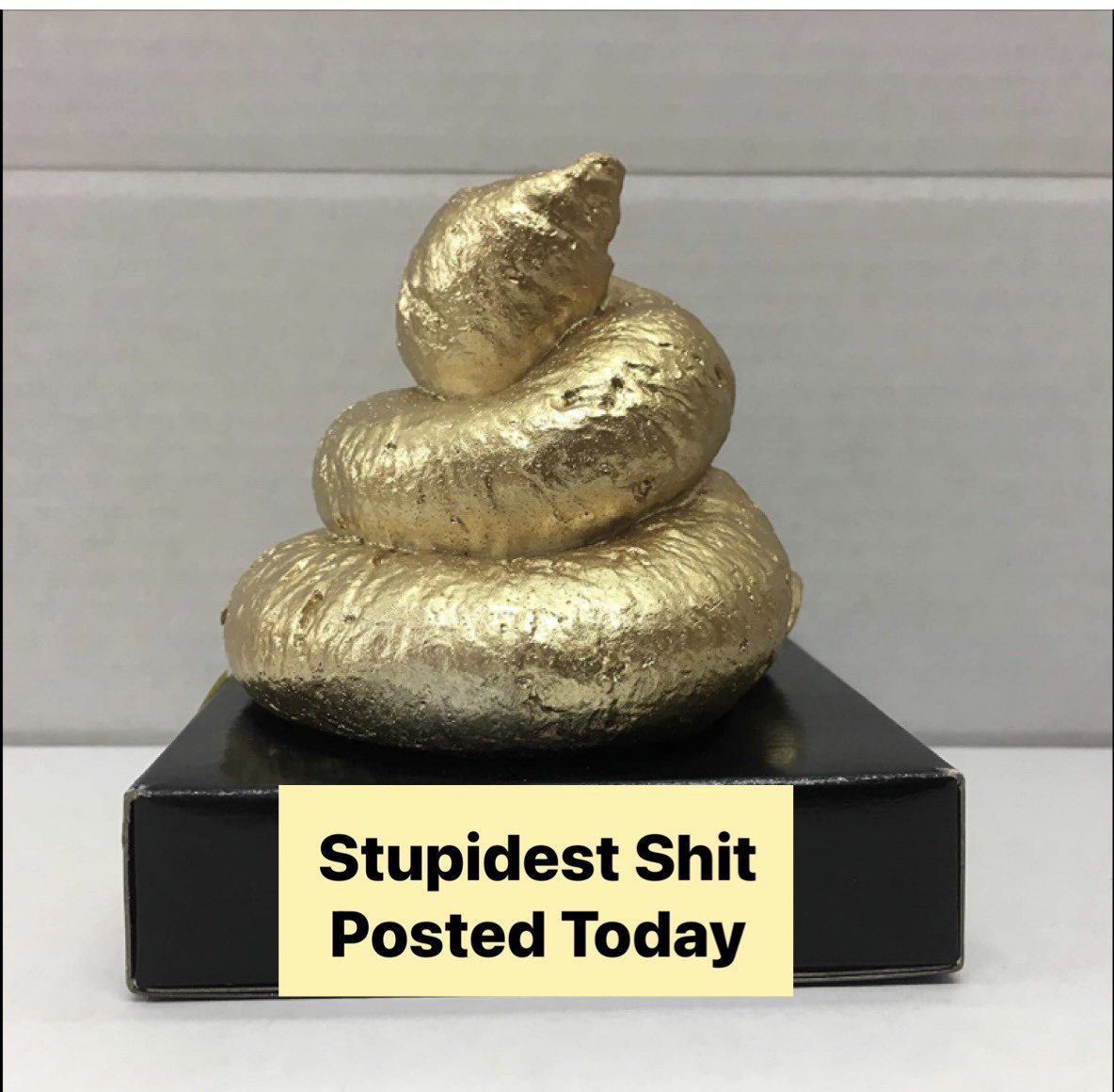 Fight_4TheRight's tweet photo. @emkenobi This is the stupidest post today and if any significant number of people start believing it, it will be the downfall of our country. So you should f’k right off you îğñøřâñt b!ťçħ! https://t.co/rHTgijRlWx