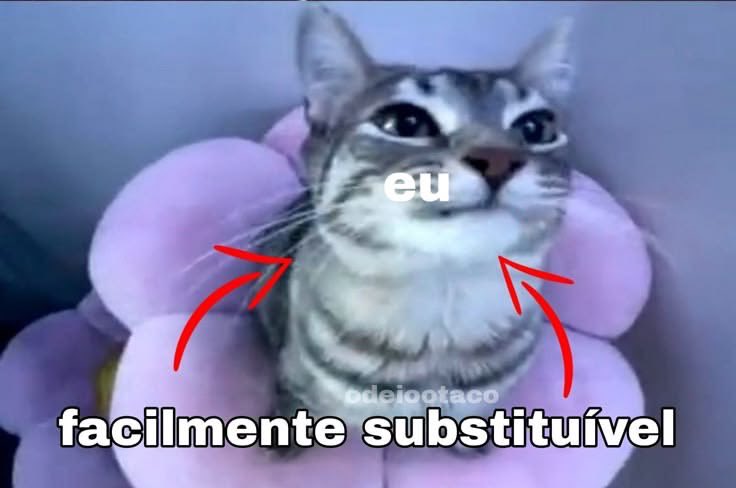 shitpostverdade's tweet photo. https://t.co/Za2S9N6V59