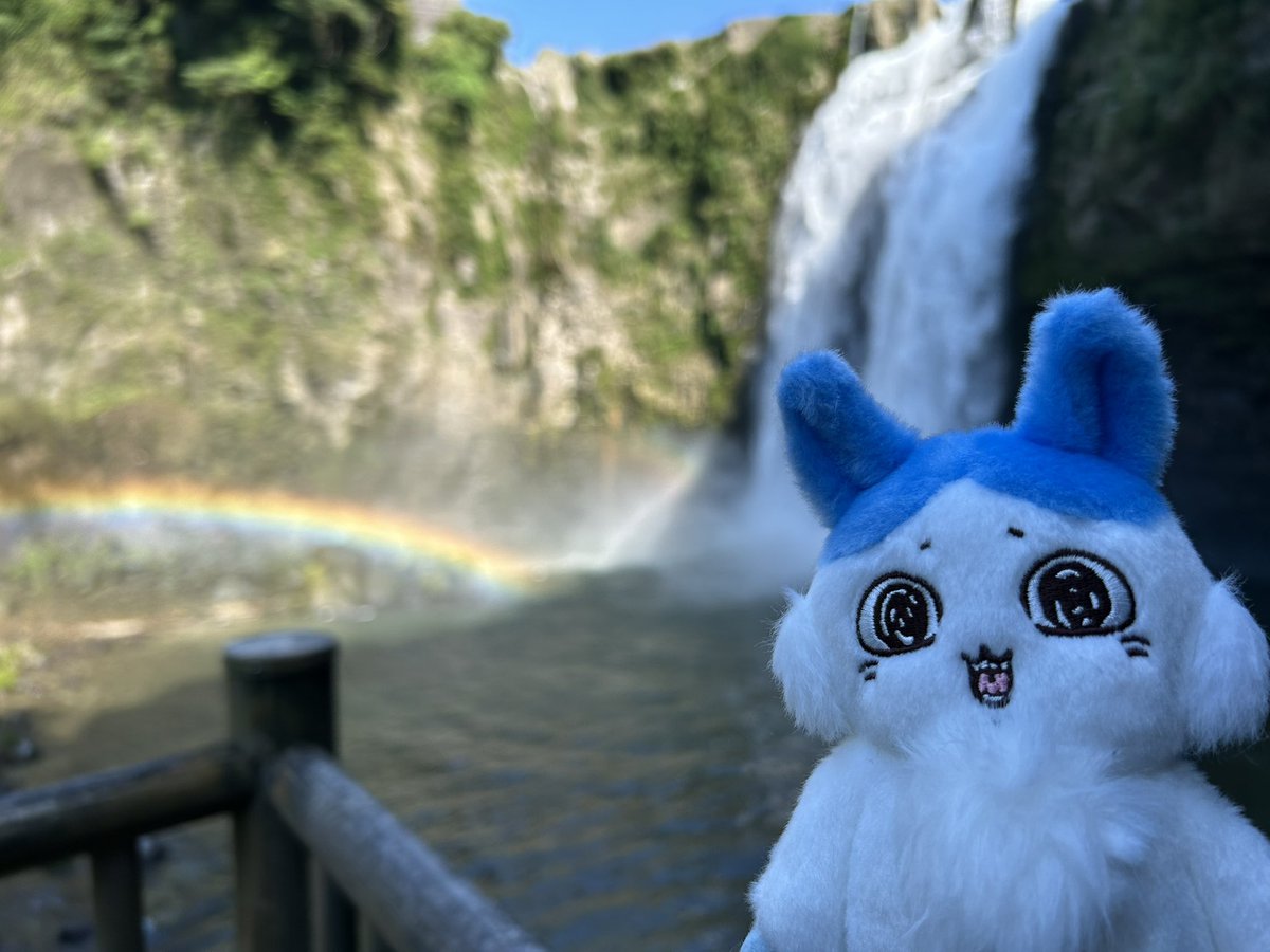 000aym000's tweet photo. 先日、最近何かと話題の〝成っちゃった〟子を連れて旅行へ行ってきました！
相変わらず風景と撮るの下手くそww
滝は圧巻でした…！

#ぬい撮り https://t.co/cvopktJxLh
