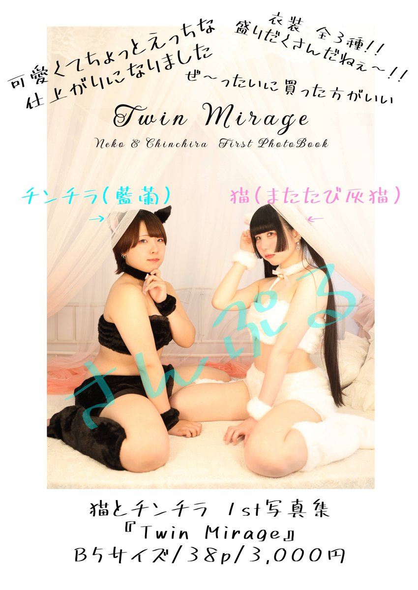 airan_330's tweet photo. お知らせ⋆͛📢⋆

腰が重いでお馴染みの(？)
猫とチンチラが！遂に！
写真集を販売します！有言実行！！

私達の可愛くてちょっと(当社比)えっちな 1st写真集！8/9のニコフェス146の物販にてお買い求めいただけます！

沢山の方にお手に取って頂きたいので、そのうち通販もします！たぶん！ https://t.co/wsN1rBq1tS