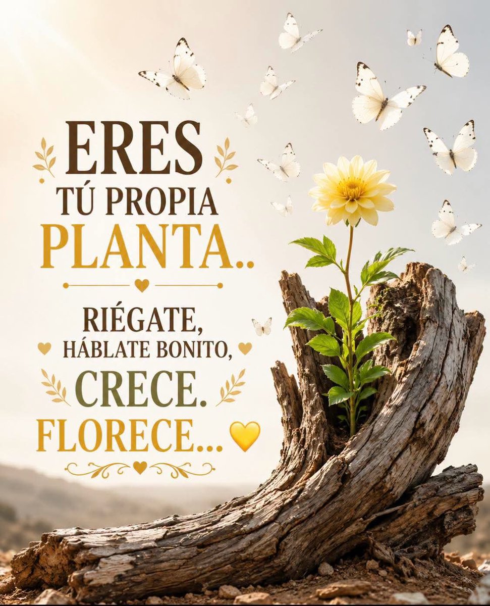 EscueladeVida21's tweet photo. https://t.co/5v9s8sQ59m