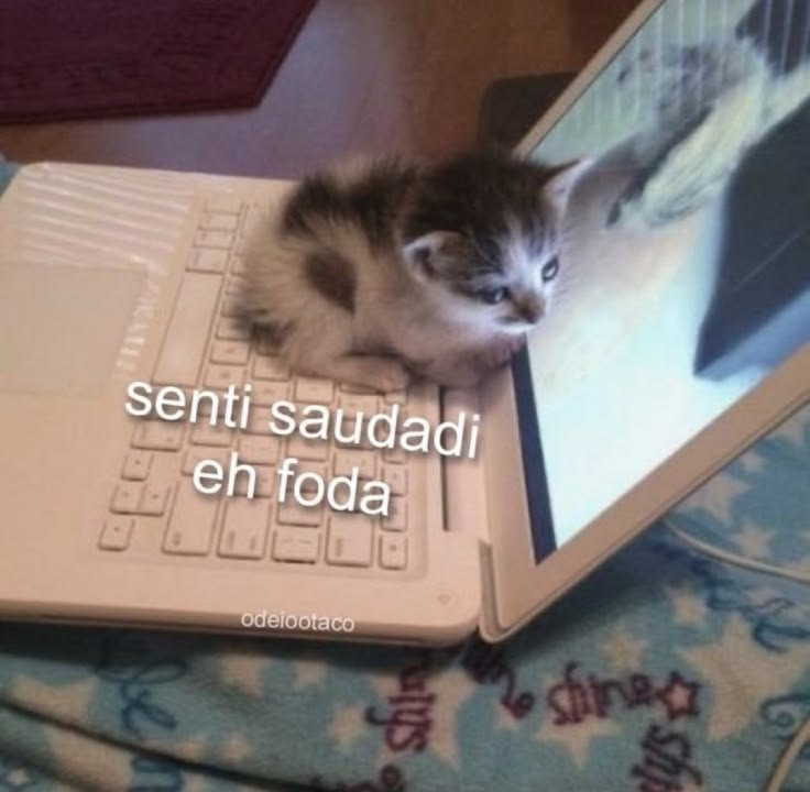 odeiootaco's tweet photo. https://t.co/NMPlUguwBJ