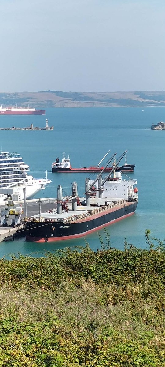 AytonJustyn's tweet photo. 🏭 No Incinerator 🏭 Boycott portland port 🇵🇦 Tal Honor 🇵🇦 in #portland on 3/8/26. A General Cargo vessel. #weymouth #dorset #photography #shiplnpics #shipspotting #GeneralCargo #ships #shipping #Panama #TalHonor #TaiwanNavigation https://t.co/t2Ea9X5Yi7