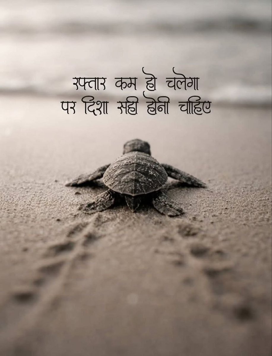 aiwithradhe's tweet photo. रफ्तार कम हो चलेगा ,
पर दिशा सही होनी चाहिए ..!! https://t.co/n7AwH6Do6M