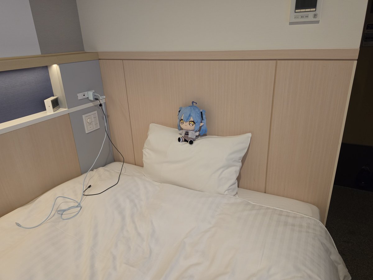 commuless_lmy's tweet photo. 清掃入ること完全に忘れてて帰ってきたら枕の上に鎮座して待ってた https://t.co/EgzudoFS72