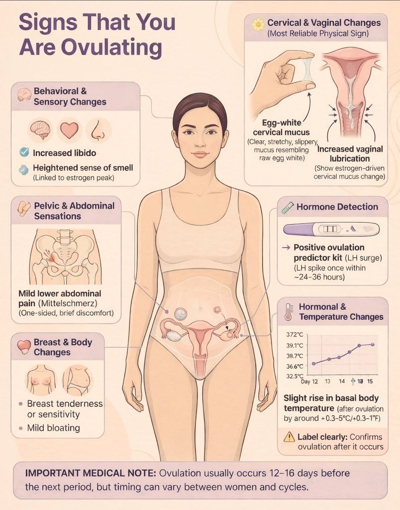 learnhealth__'s tweet photo. Signs That You Are Ovulating https://t.co/uL7mXQrNsM