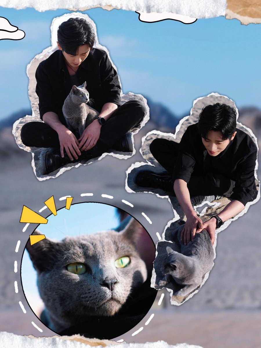 Tillll_D's tweet photo. 晒晒小猫猫🐱 ៸៸᳐⦁⩊⦁៸៸᳐ ੭ﾞ
고양이 자랑 권력있다 부럽다 https://t.co/aJUITrtwRA