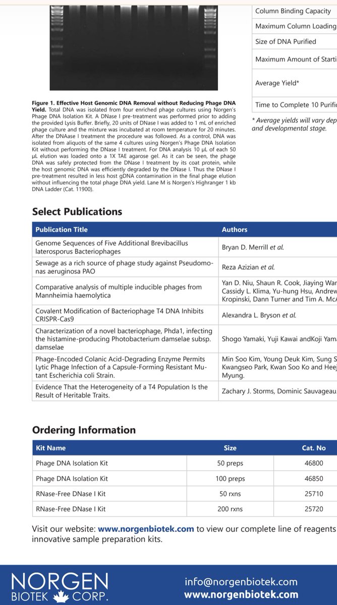 RzaAzi's tweet photo. Honored our paper on using sewage to find phages against Pseudomonas aeruginosa is featured by Norgen Biotek! Reliable phage DNA isolation is vital for tackling AMR. 

Full paper: https://t.co/dMCYZHf90z

#PhageTherapy #AMR #Microbiology https://t.co/vvGEh4LFbc