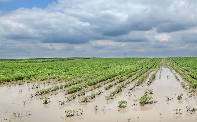 Agroverdad's tweet photo. Entre agosto y octubre🌧️

Pronóstico trimestral. Con “El Niño” intensificándose, en qué zonas de Argentina prevén lluvias superiores a las normales

➡️ https://t.co/YCvwY2EgxG

 #AgroTitular #AgroCordoba #agro #campo #pronosticotrimestral #clima #campo #ElNiño #lluvias https://t.co/o9zcbhqWGi