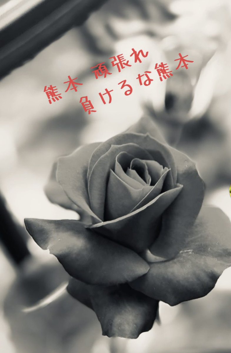 whitelobelia's tweet photo. 🌸SAKURA🌸🌹🎹の
投稿動画    良かったら見てね
久しぶりの 投稿✨️
↓
#TikTok https://t.co/IRunuS0Rcp

暑さに気をつけてね☀️☀️🥵 https://t.co/bHBPKXHHuH