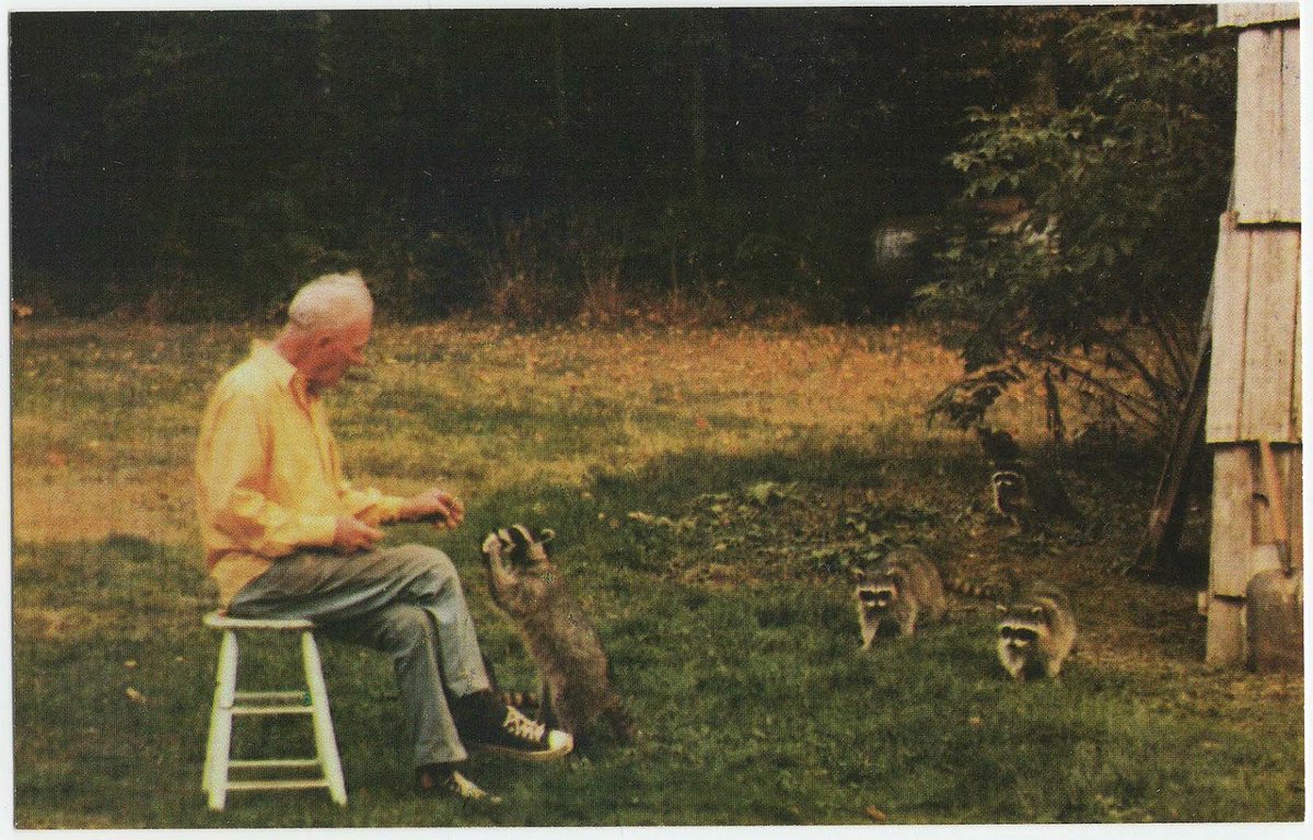 _xenro_'s tweet photo. Hi $Jimothy gang our gramps loved Raccoons 

His CA

CUW12kwAq8h9NDhYBu16F1pcxvWjKpuEhsAyTgkApump

Shilling cause I thought it’s cool https://t.co/j6iMFYJfOe