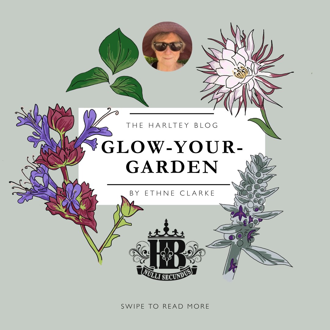 HartleyUSA's tweet photo. ‘What can be more magical than a full moon on a summer evening?’ Ethne Clarke tells you how to Glow Your Garden in the summer moonlight 

Read more gardening hints and tips from award-winning blog writers here https://t.co/HyZxppceVp https://t.co/Yq1BXqgtUM