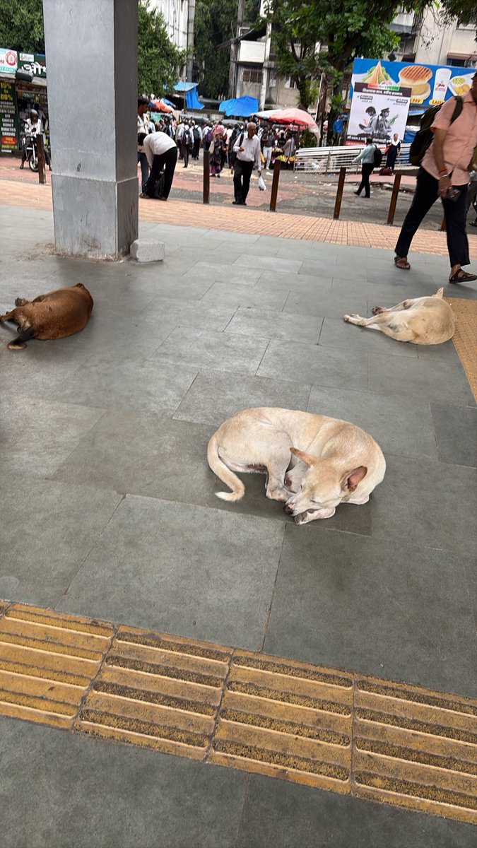 pranavto's tweet photo. @drmbct @RailwaySeva @drmmumbaicr No change. Current situation 
#westernrailway @WesternRly @AshwiniVaishnaw https://t.co/rSH6lJaWYl