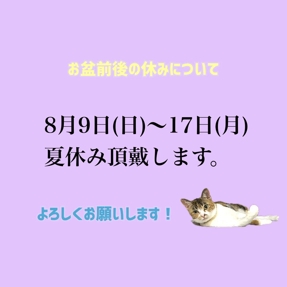 cacacurry Re:NEAT NEAT (カカカリーリニニ) on X: 