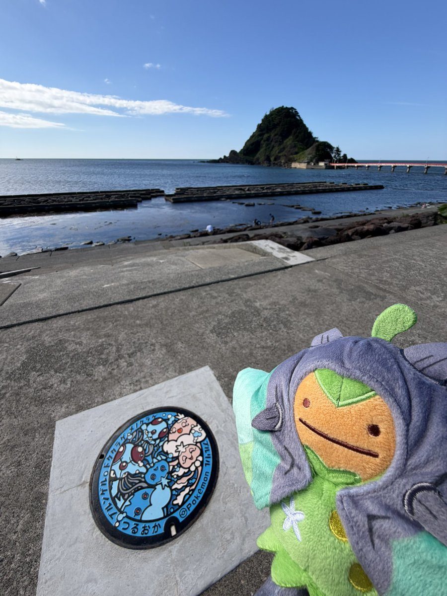 Pro74444's tweet photo. 残り2つのポケふた回収して山形県コンプリート‼️✨️
加茂水族館がとても良かったです‼️ https://t.co/s7y6keXFe9