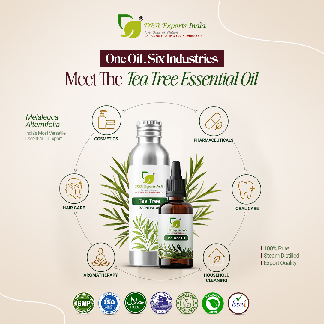 dbrexports's tweet photo. Meet Tea Tree Oil: 1 natural ingredient, 6 industries. Cosmetics ✔️ Skincare ✔️ Haircare ✔️ Pharma ✔️ Household ✔️ Aromatherapy ✔️ Bulk supply from DBR Exports India 🌿 #EssentialOils #TeaTreeOil #B2B https://t.co/uNRzF6P03k