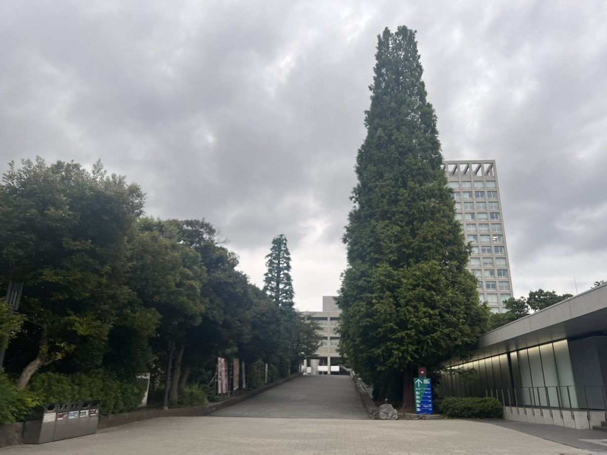 felicette08's tweet photo. 昨日は受験生のお子さんがいる友人に誘われて母校のオープンキャンパスへ

久しぶりすぎて記憶が曖昧だったけど、通い慣れた場所を歩いてたら少しずつ当時を思い出してきた。
頭よりも体が覚えてるもんだなーと思いました

学食のタコライスと懐かしのスロープ https://t.co/tbzjoNd8sK