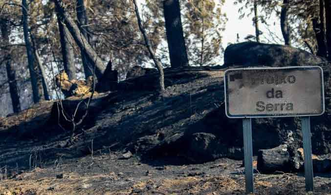 AP_Alternativa's tweet photo. O "negócio" dos incêndios
Se a água lançada sobre os fogos fosse equivalente à torrente de palavras ditas e artigos escritos, o “negócio” dos incêndios não existiria.
https://t.co/9esYhxQZxC https://t.co/Mw5MSl6CtL