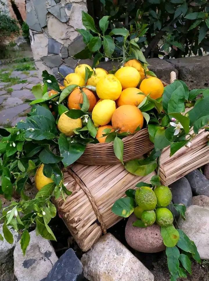 zicooglu2727's tweet photo. https://t.co/GtpNeHiiDR