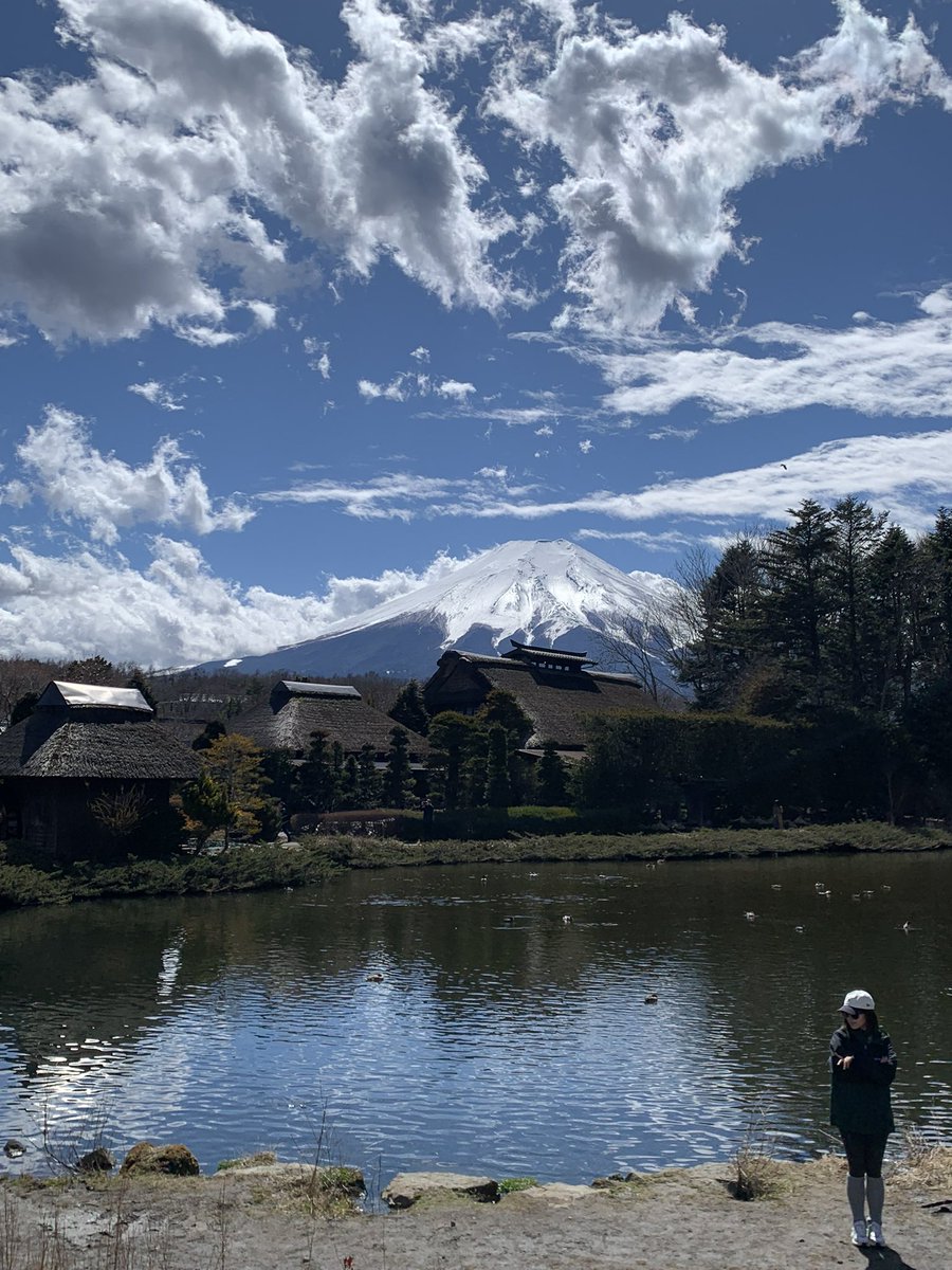 nikunoniisan's tweet photo. 🗻🇯🇵✨ https://t.co/Lb9l0H2fMm