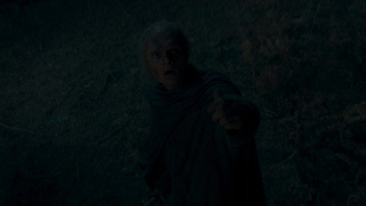 Vyankateshinde's tweet photo. Just witnessed an absolute jaw-dropper in #HOTD S03E07! Aegom and Sunfyer are back and we were not ready for it! https://t.co/lmtNdNVSKS