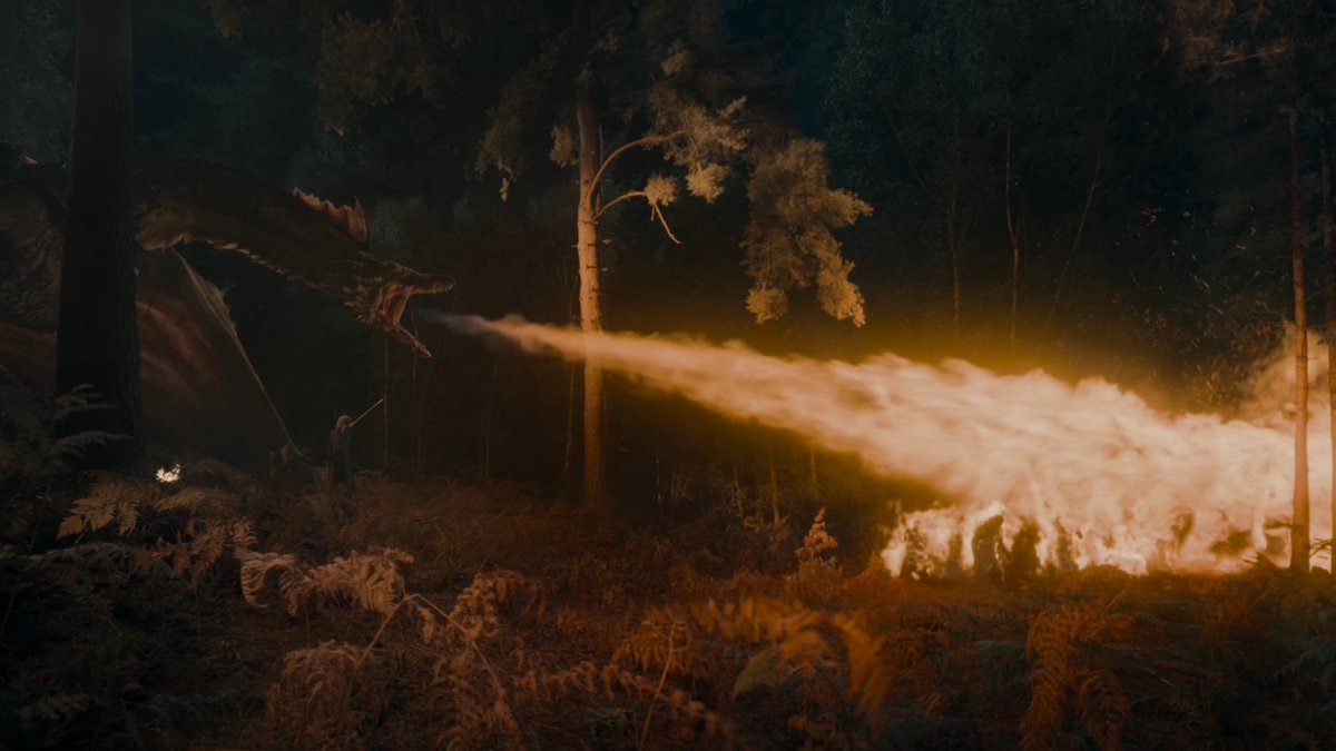 Vyankateshinde's tweet photo. Just witnessed an absolute jaw-dropper in #HOTD S03E07! Aegom and Sunfyer are back and we were not ready for it! https://t.co/lmtNdNVSKS