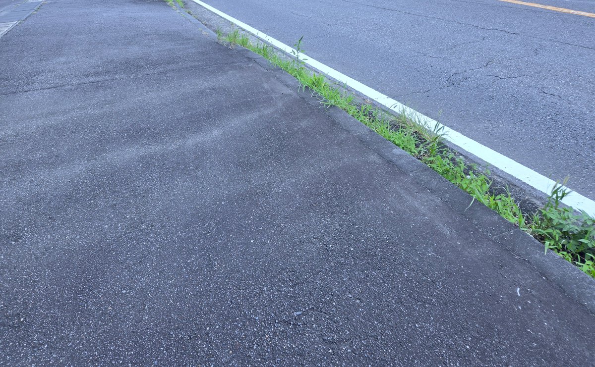 aaaaaa_mi's tweet photo. 少しだけ会いたいて言うから
ちょっとでて���たらめちゃくちゃ
すずしくてびっくりした🤴🤍

２０分のために遠くから
まじで行動力の鬼👹🤍笑 https://t.co/7CW5jE7Gpa